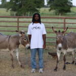 Upend Men’s “Message” tee