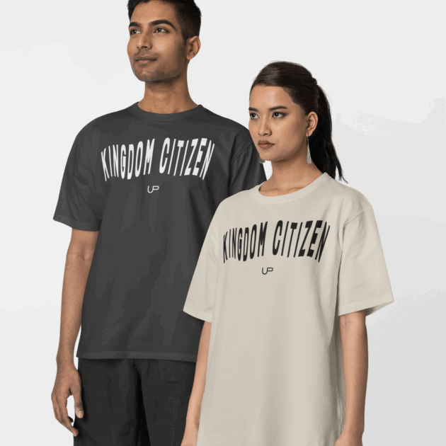 Upend Oversized Faded Kingdom Citizen Tee